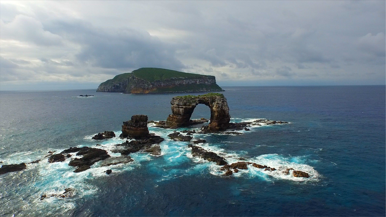 The Best Dive Sites in the Galapagos
