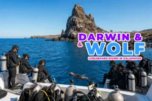 Galapagos Liveaboard: Why 7 Nights Beats 5 Days