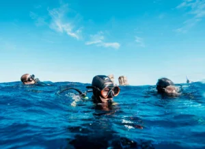 A Galapagos liveaboard on a seven-night Darwin and Wolf itinerary
